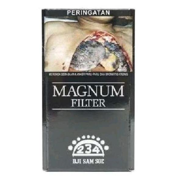 234 MAGNUM F12