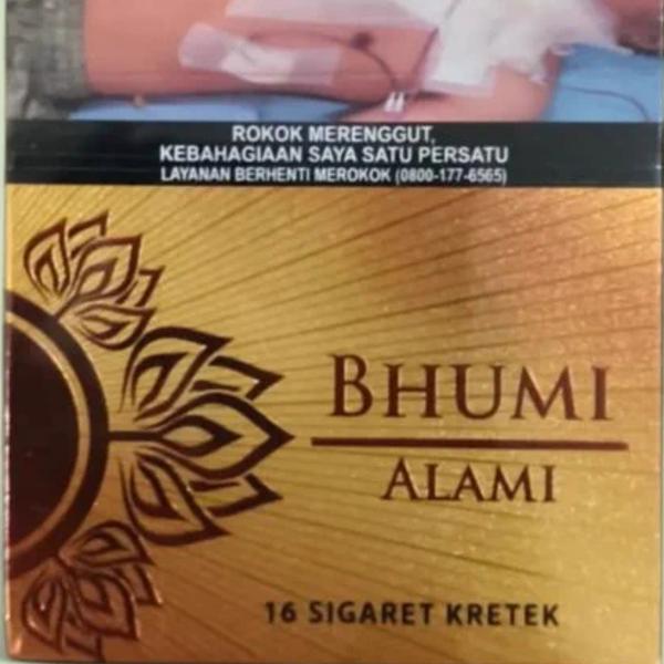 BHUMI ALAMI K 16