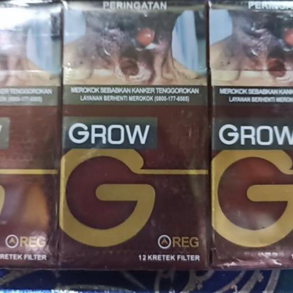 GROW FILTER 12
