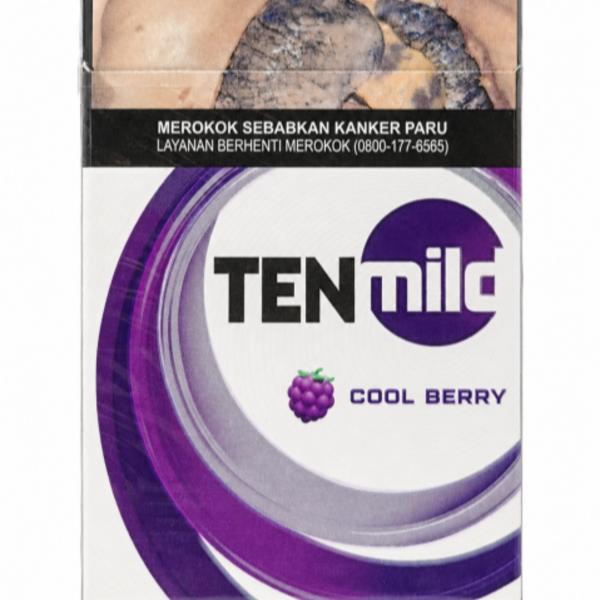 TEN MILD COOLBERRY 16