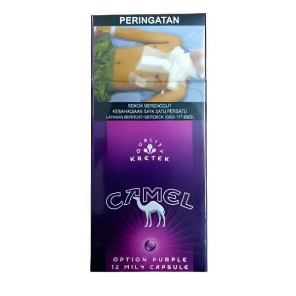 CAMEL PURPLE 12