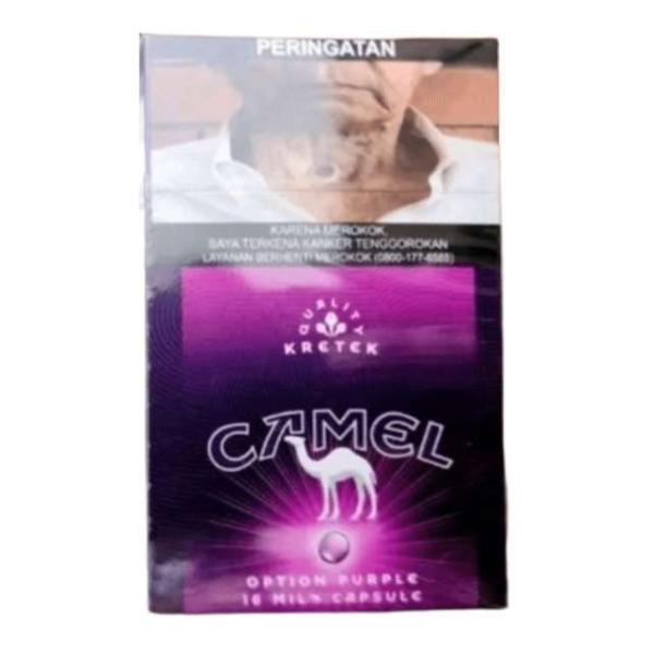 CAMEL PURPLE 16