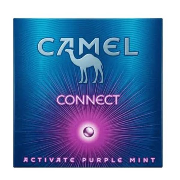 CAMEL CONNECT 20