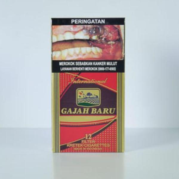 GAJAH BARU F 12