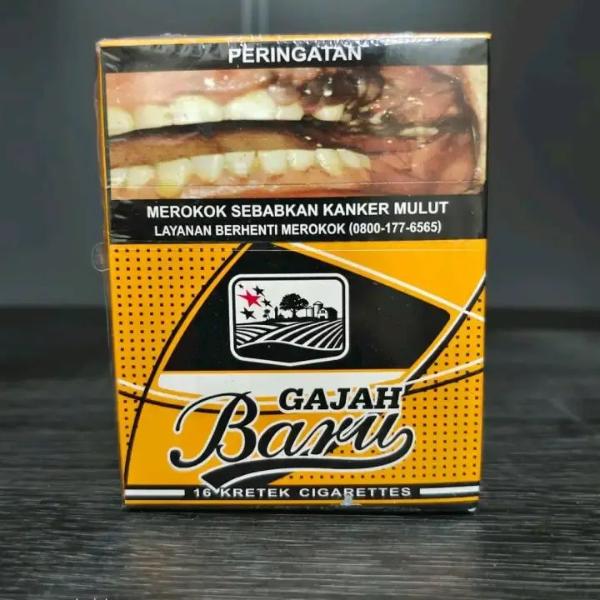 GAJAH BARU K16